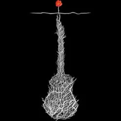 Women's Design By Humans Music Always Finds A Way By NomAdartStudio Racerback Tank Top