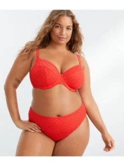 Elomi Women's Plus Size Bazaruto Mid-Rise Bikini Bottom - ES800672 -Women Clothing Sale GUEST d1421d30 8f23 4ded a3dd 64d46c17d71f